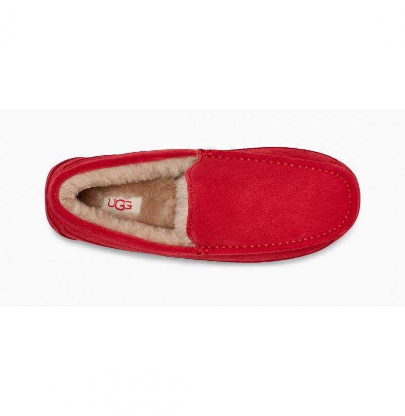 UGG Ascot Papuce Panske Červené | SK-174HIFJKR