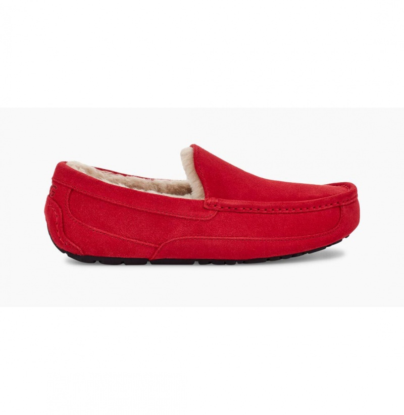 UGG Ascot Papuce Panske Červené | SK-174HIFJKR