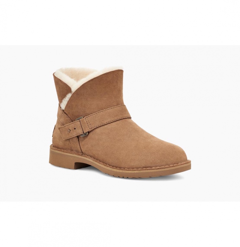 UGG Aubrielle Klasické Čižmy Z Ovčej Kože Damske Hnede | SK-846YWJSOE