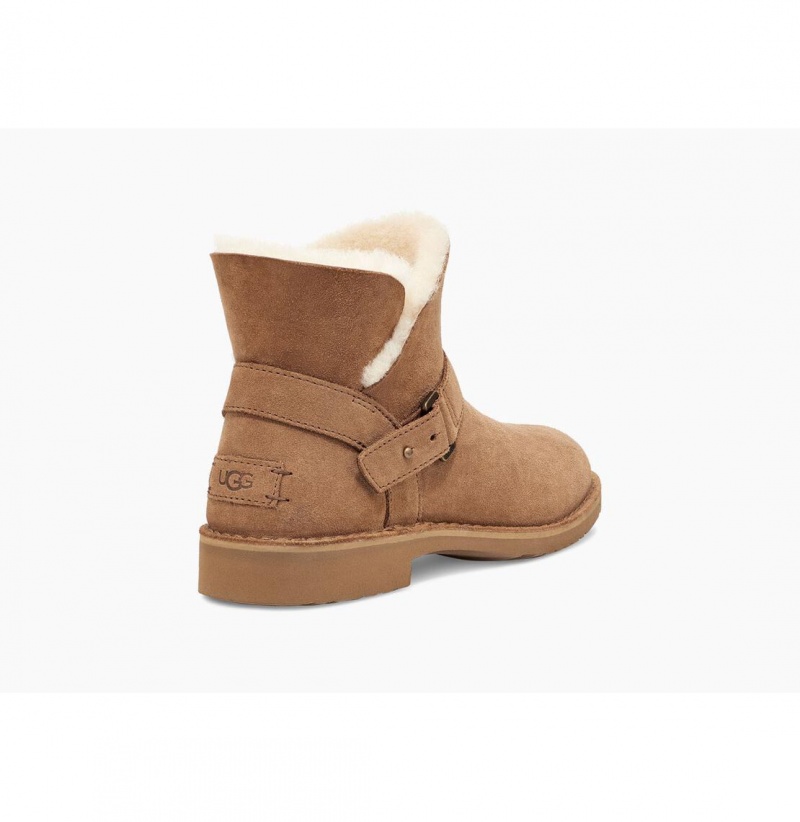 UGG Aubrielle Klasické Čižmy Z Ovčej Kože Damske Hnede | SK-846YWJSOE