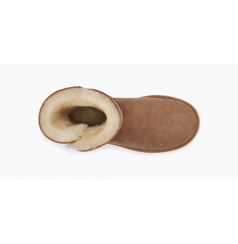 UGG Bailey Zip Kratke Zimne Topanky Damske Hnede | SK-258QAOZSD