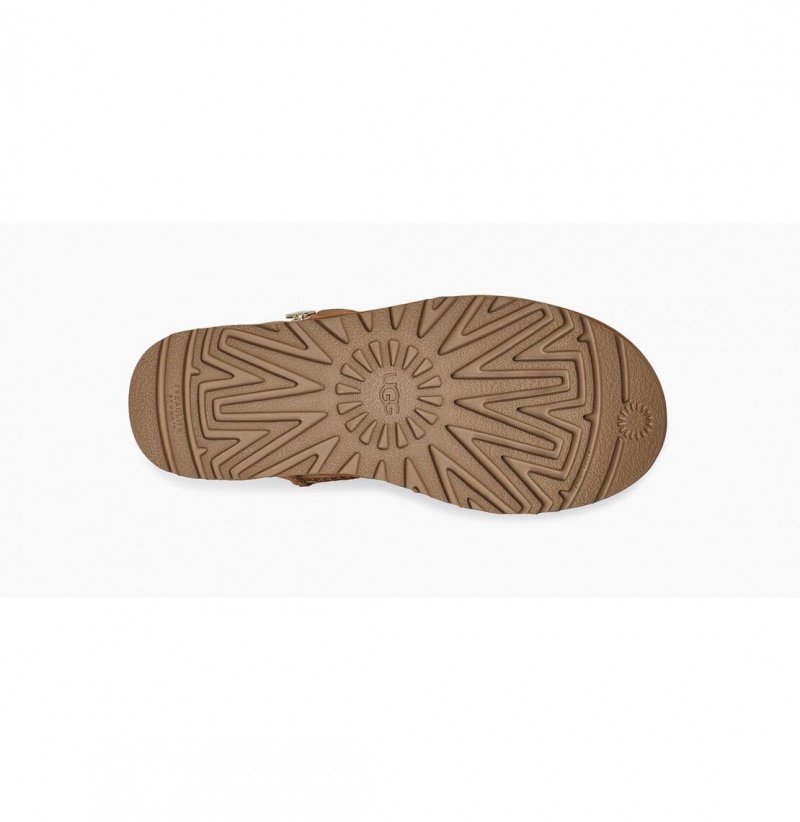 UGG Bailey Zip Kratke Zimne Topanky Damske Hnede | SK-258QAOZSD