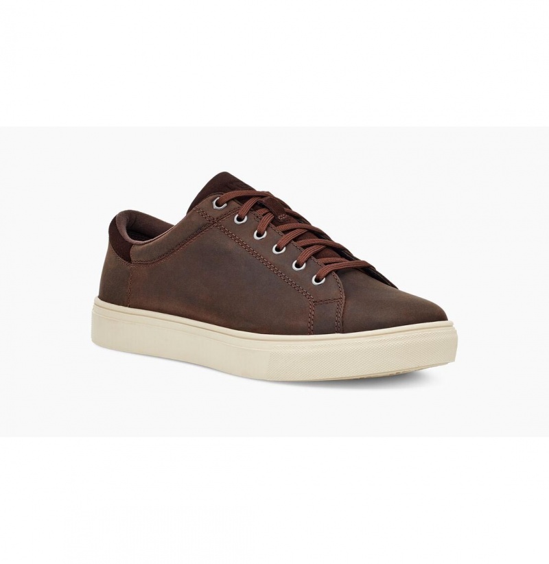 UGG Baysider Low Weather Tenisky Panske Claret | SK-548VMOXPS