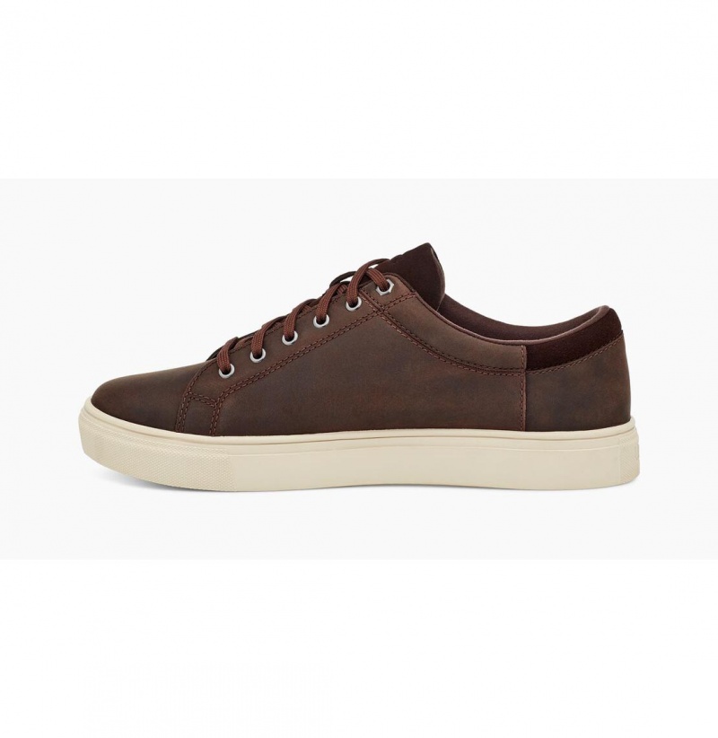 UGG Baysider Low Weather Tenisky Panske Claret | SK-548VMOXPS