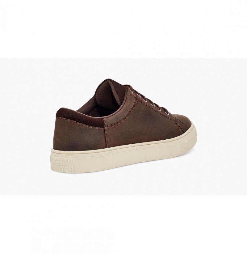 UGG Baysider Low Weather Tenisky Panske Claret | SK-548VMOXPS
