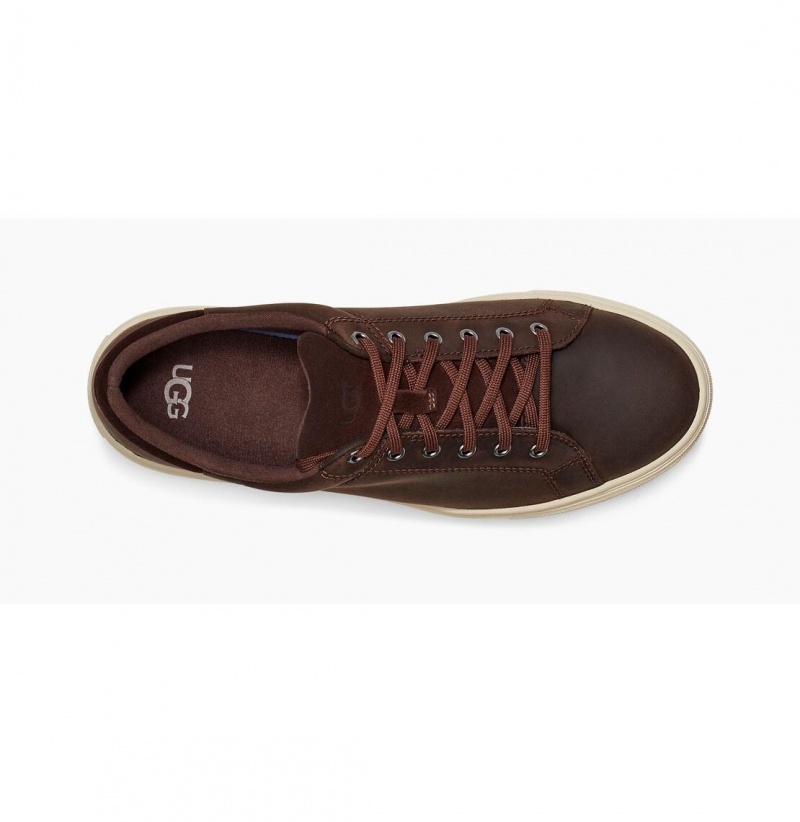UGG Baysider Low Weather Tenisky Panske Claret | SK-548VMOXPS