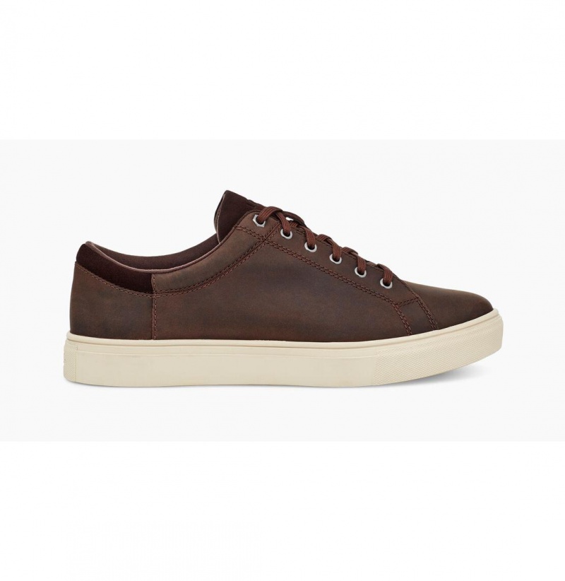 UGG Baysider Low Weather Tenisky Panske Claret | SK-548VMOXPS