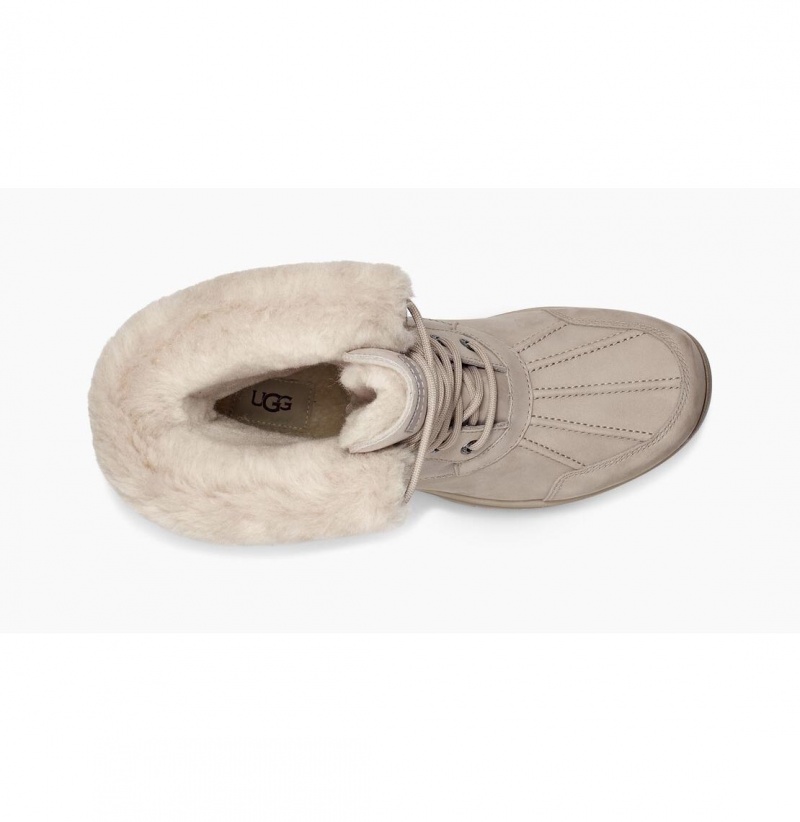 UGG Butte Mono Chukka Topanky Panske Marhule | SK-327BJUYOT