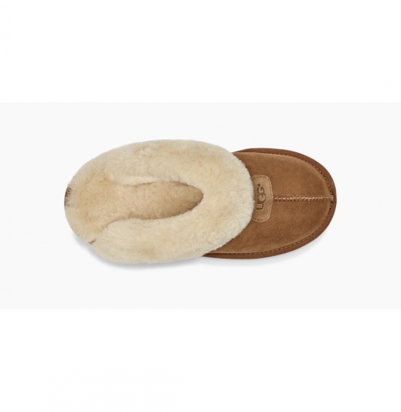 UGG Coquette Papuce Damske Hnede | SK-943VXLAQS