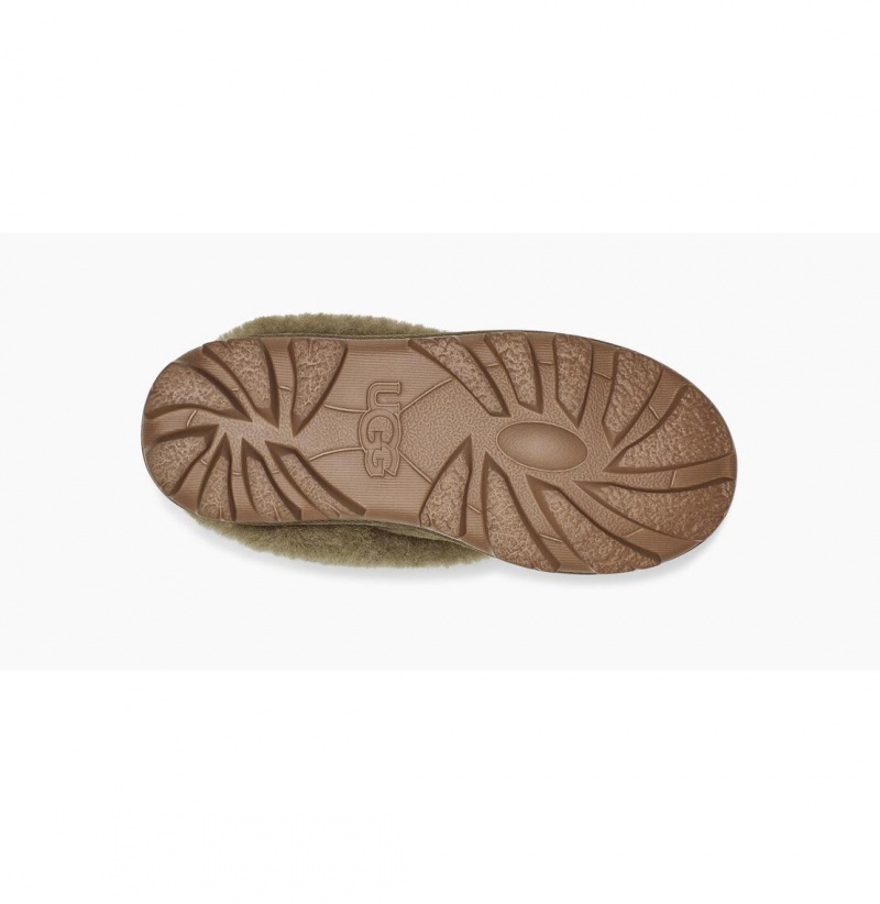 UGG Coquette Papuce Damske Olivovo Zelená | SK-934FMCUGE