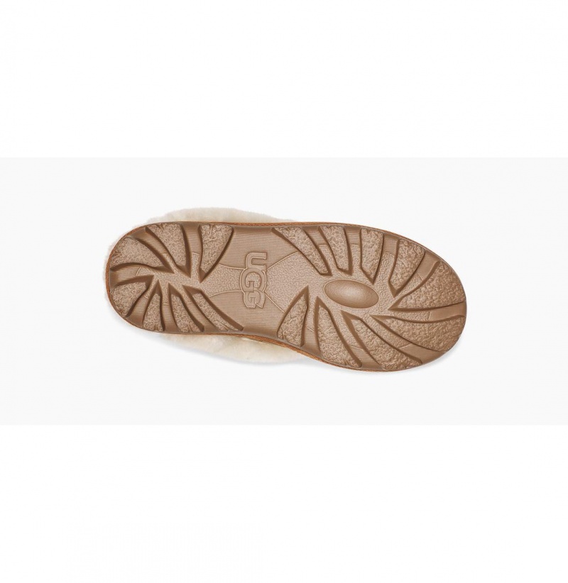 UGG Coquette Ugg Logo Papuce Damske Hnede | SK-408PSJBRO