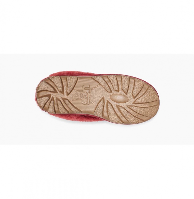 UGG Coquette Ugg Logo Papuce Damske Červené | SK-764UQVYTD