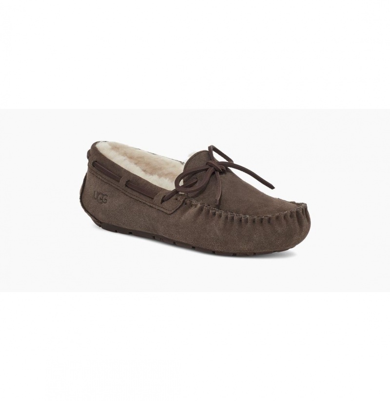 UGG Dakota Papuce Damske Hnede | SK-473ZFMTVQ