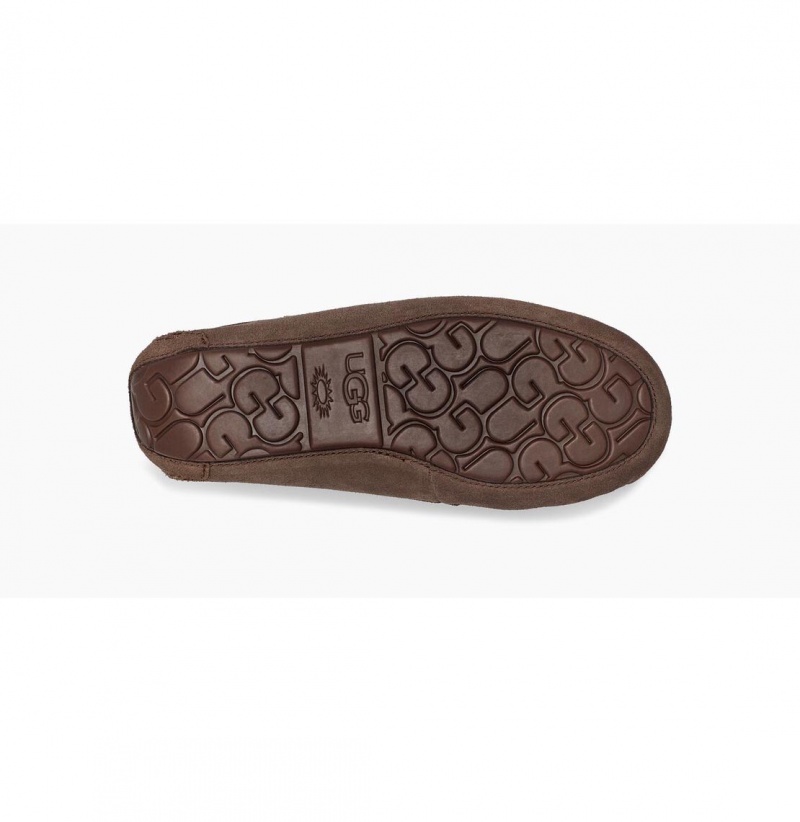 UGG Dakota Papuce Damske Hnede | SK-473ZFMTVQ