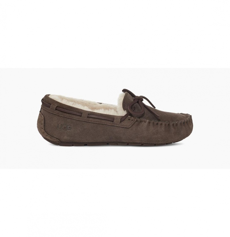 UGG Dakota Papuce Damske Hnede | SK-473ZFMTVQ