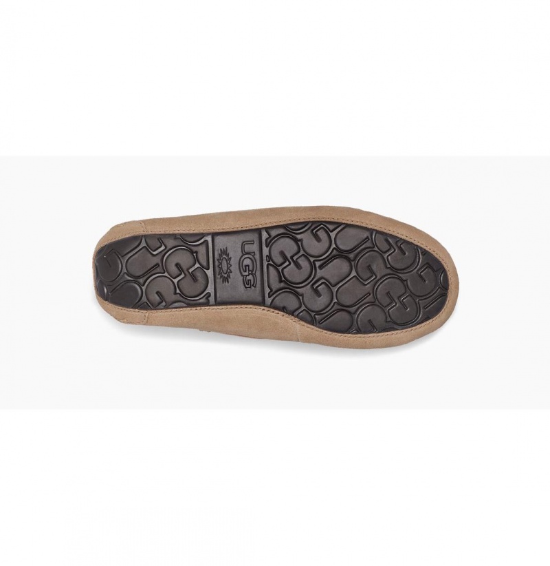 UGG Dakota Papuce Damske Hnedožltý | SK-931XQADGH