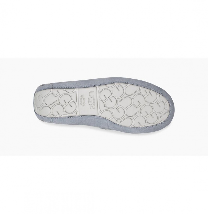 UGG Dakota Papuce Damske Siva | SK-341QEUPMY