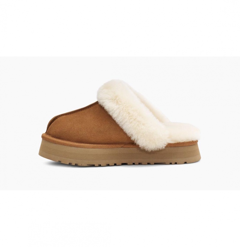 UGG Disquette Papuce Damske Hnede | SK-367QHOUVT