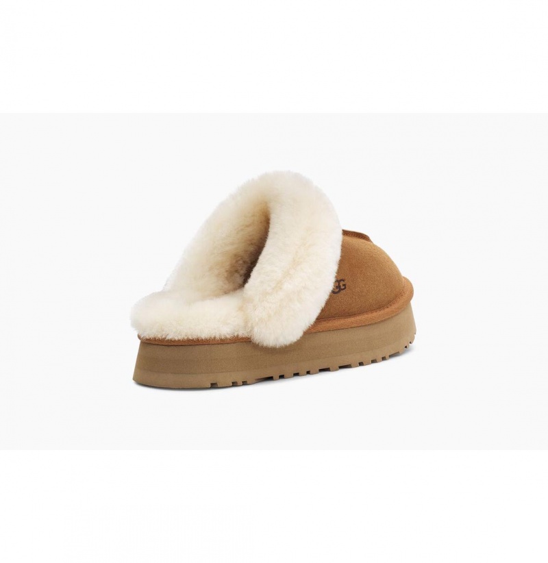 UGG Disquette Papuce Damske Hnede | SK-367QHOUVT