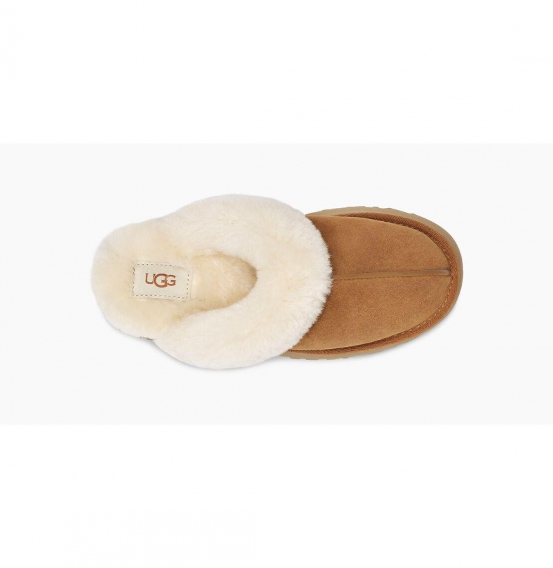 UGG Disquette Papuce Damske Hnede | SK-367QHOUVT