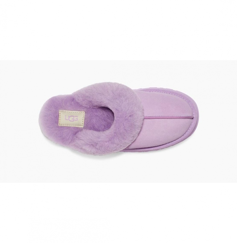 UGG Disquette Papuce Damske Lavendel | SK-652XGZHUA