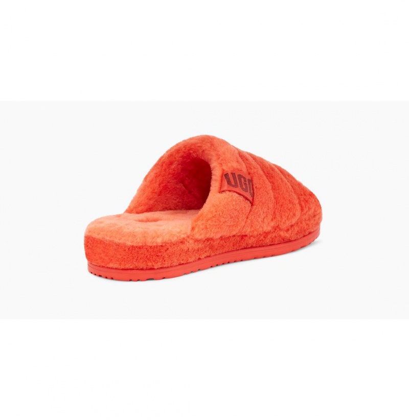 UGG Fluff You Papuce Panske Oranžové Modre | SK-405IQJWAO