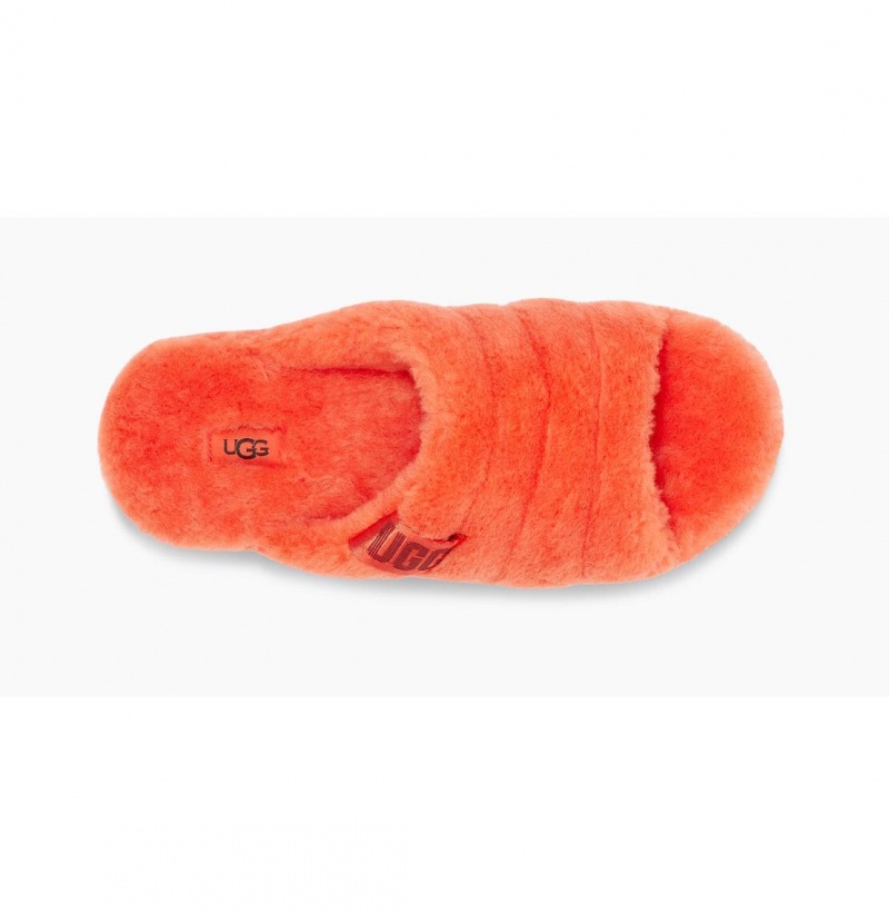 UGG Fluff You Papuce Panske Oranžové Modre | SK-405IQJWAO