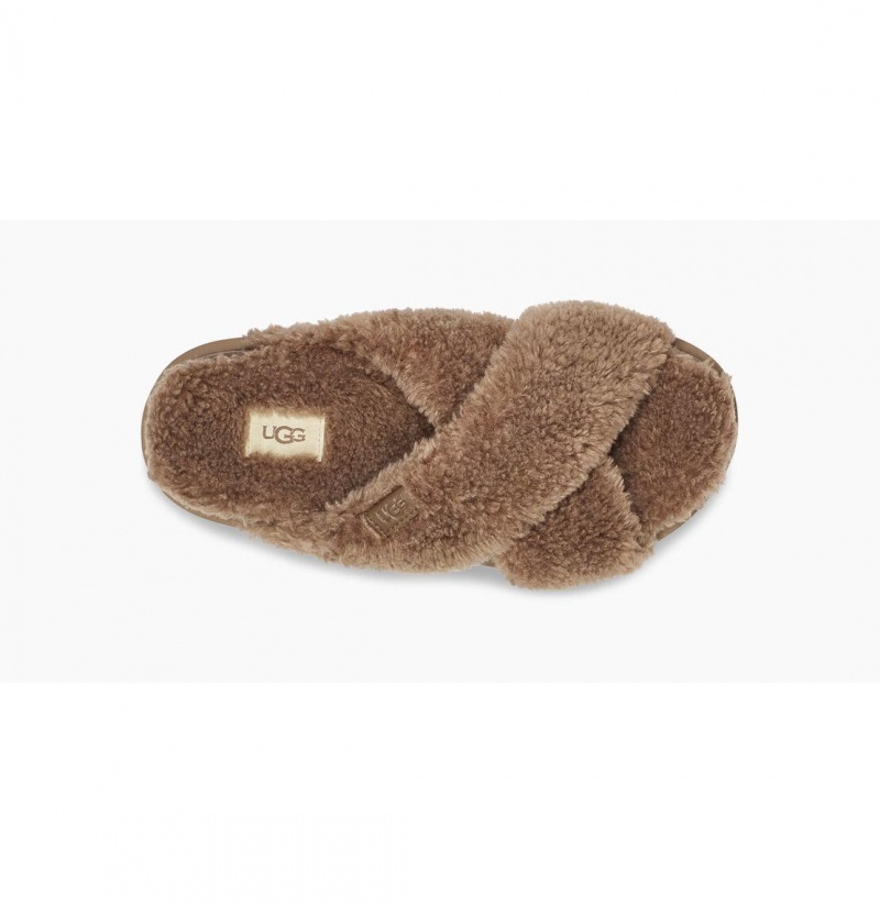 UGG Fuzz Sugar Cross Slapky Papuce Damske Hnede | SK-703CYONSZ