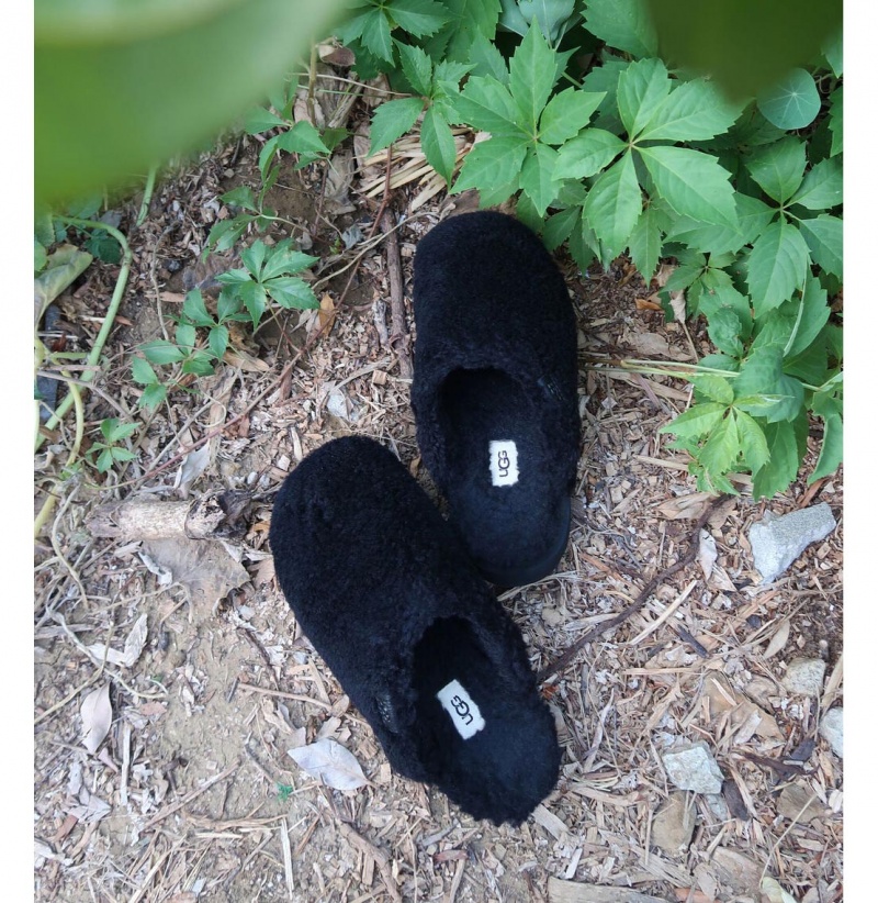UGG Fuzz Sugar Slapky Papuce Damske Čierne | SK-093JOZRMA
