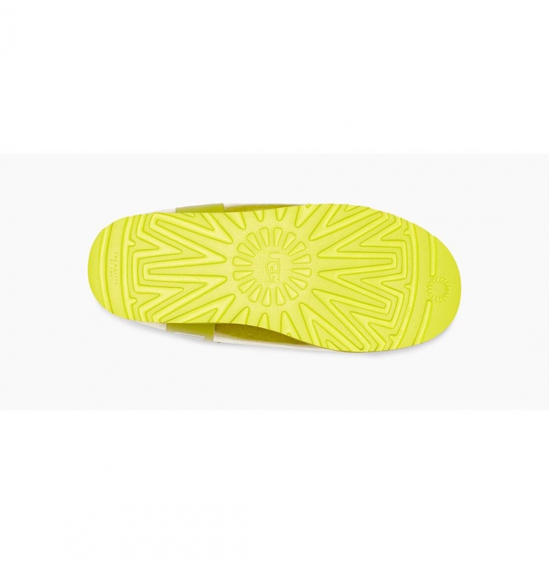 UGG Klasické Clear Mini Nepremokavé Topánky Damske Horčica Biela | SK-706SZWQXB