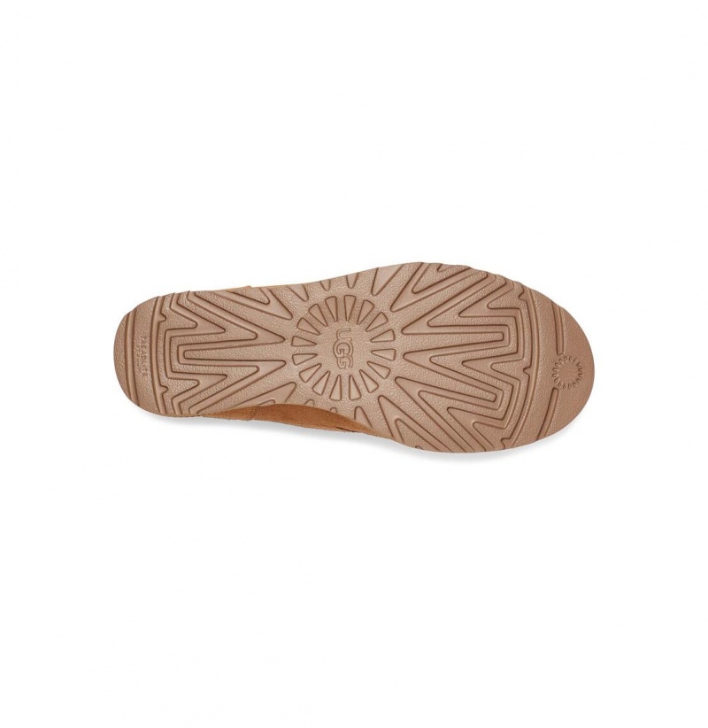 UGG Klasické Femme Snurovacie Topanky Damske Hnede | SK-913UZTBPI