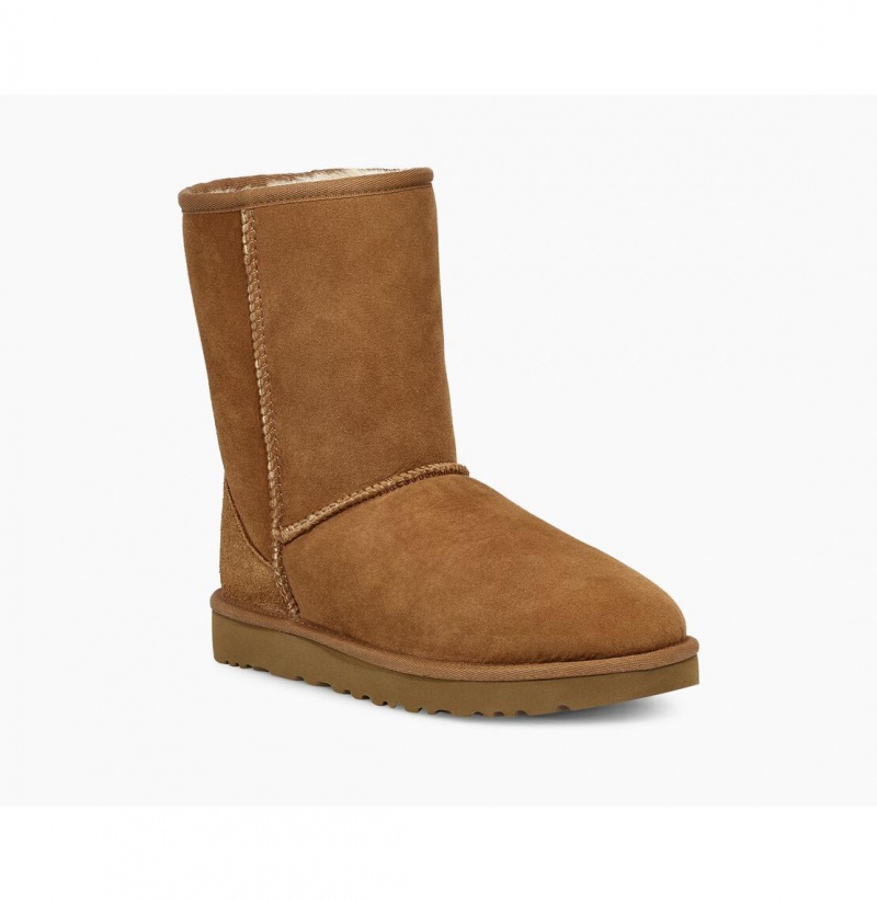 UGG Klasické Kratke II Čižmy Z Ovčej Kože Damske Hnede | SK-462SODITL