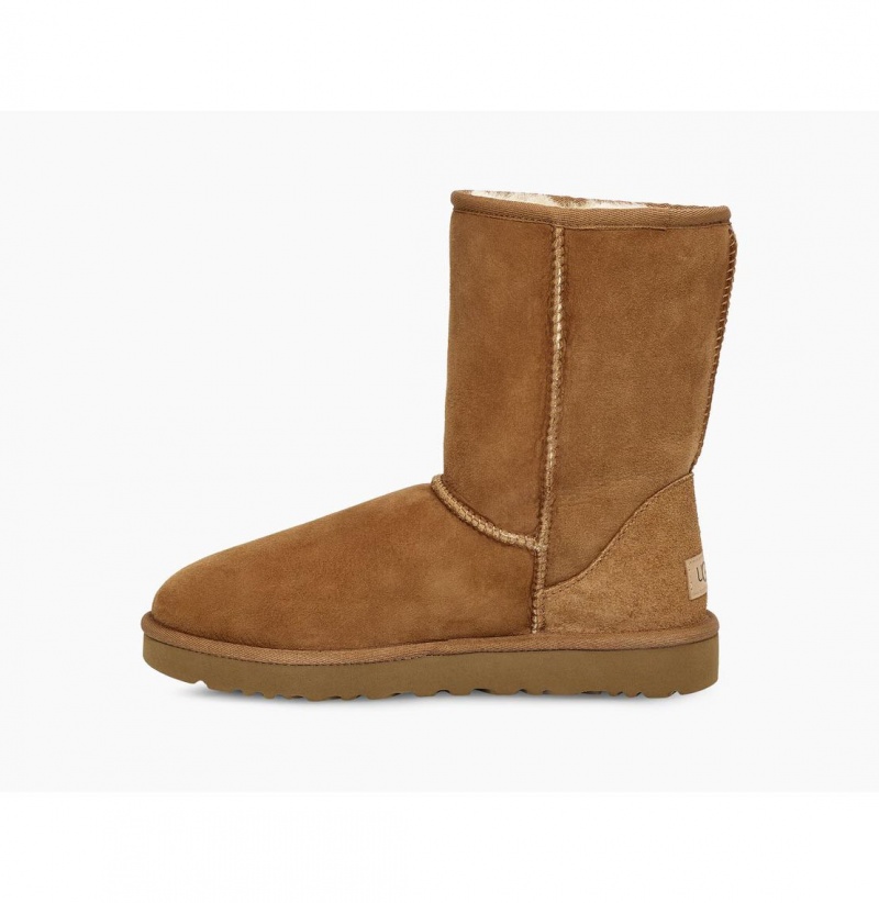 UGG Klasické Kratke II Čižmy Z Ovčej Kože Damske Hnede | SK-462SODITL