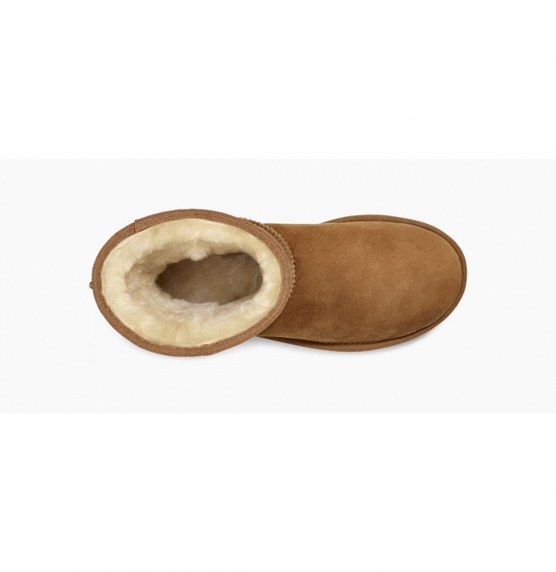 UGG Klasické Kratke II Čižmy Z Ovčej Kože Damske Hnede | SK-462SODITL