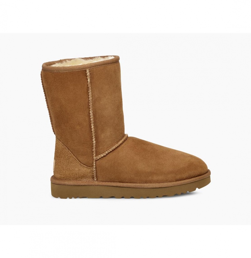 UGG Klasické Kratke II Čižmy Z Ovčej Kože Damske Hnede | SK-462SODITL