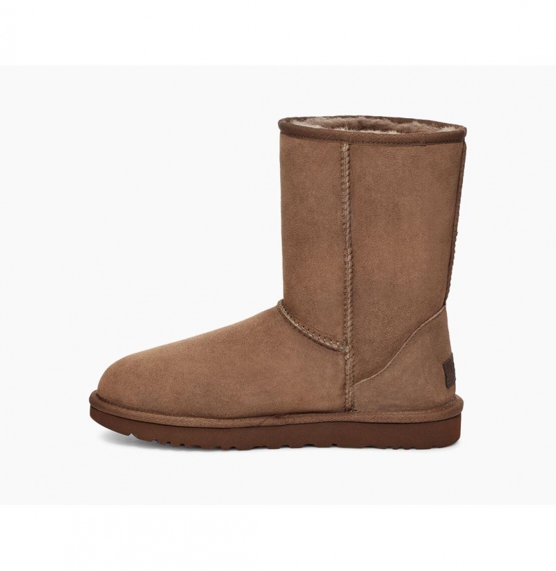 UGG Klasické Kratke II Čižmy Z Ovčej Kože Damske Svetlo Hnede | SK-270UWFBTN