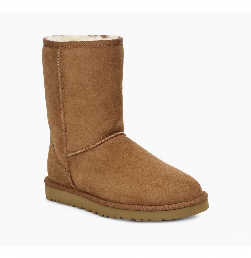 UGG Klasické Kratke Čižmy Z Ovčej Kože Panske Hnede | SK-287PXTGJL
