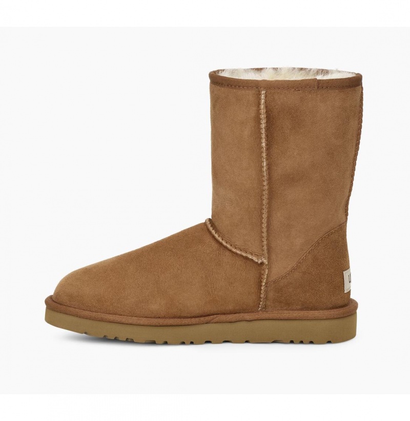 UGG Klasické Kratke Čižmy Z Ovčej Kože Panske Hnede | SK-287PXTGJL