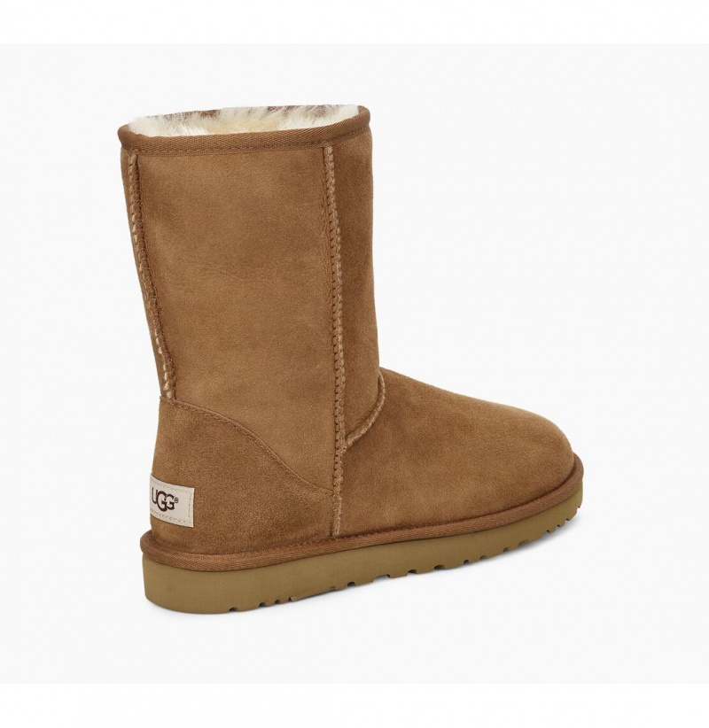 UGG Klasické Kratke Čižmy Z Ovčej Kože Panske Hnede | SK-287PXTGJL