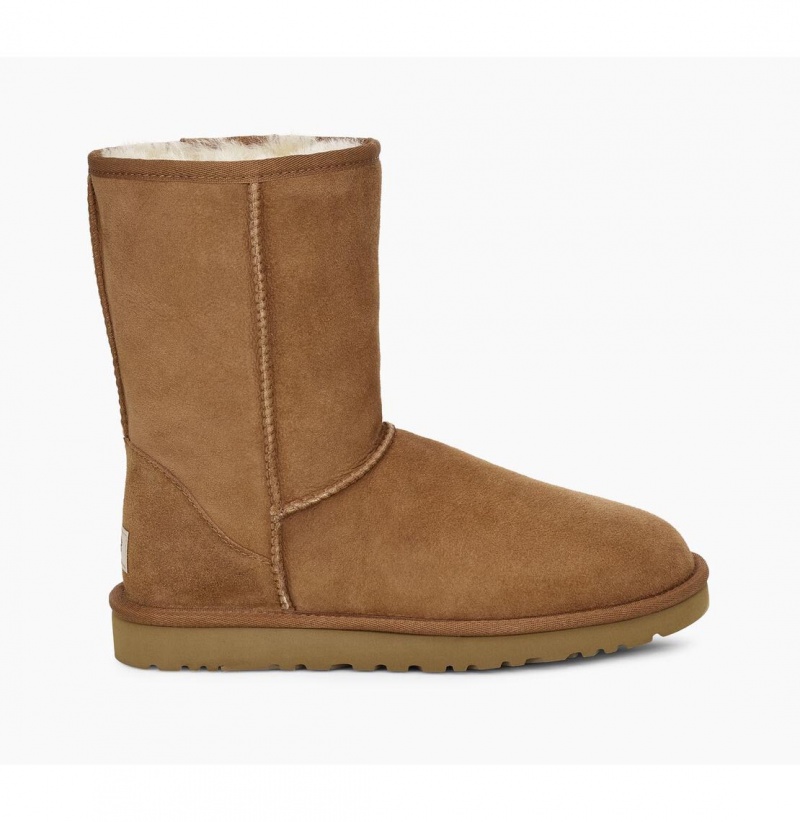 UGG Klasické Kratke Čižmy Z Ovčej Kože Panske Hnede | SK-287PXTGJL
