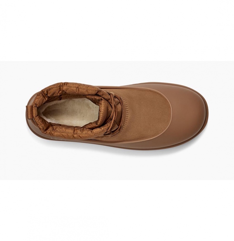 UGG Klasické Mini Cipkovane-Up Weather Zimne Topanky Panske Hnede | SK-314IRANVY