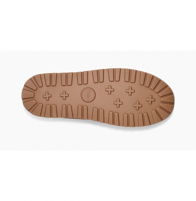 UGG Klasické Mini Cipkovane-Up Weather Zimne Topanky Panske Hnede | SK-314IRANVY