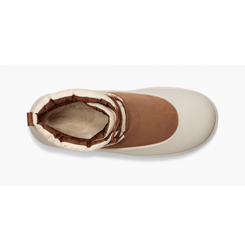 UGG Klasické Mini Cipkovane-Up Weather Zimne Topanky Panske Hnede Biele Siva | SK-195CUKOHE