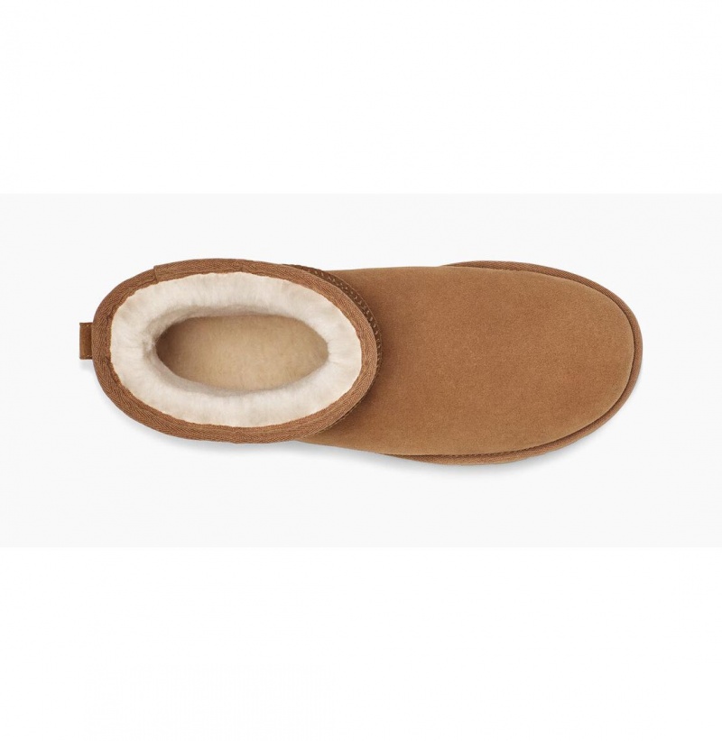 UGG Klasické Mini II Ugg Logo Čižmy Z Ovčej Kože Panske Hnede | SK-215CUBZOD