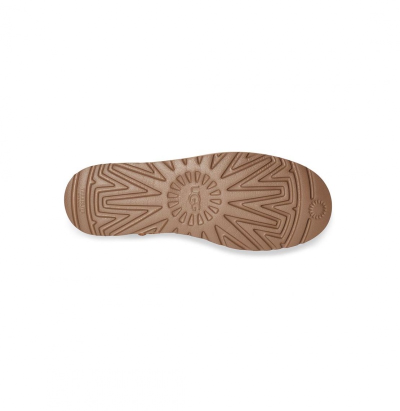 UGG Klasické Mini Logo Zip Zimne Topanky Damske Hnede | SK-032ORUDBH