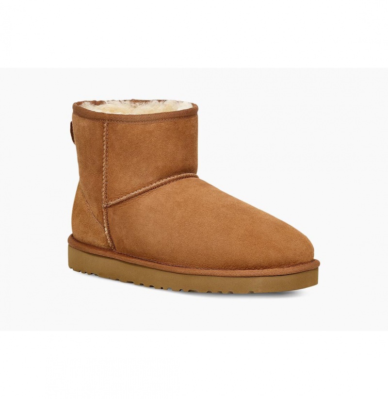 UGG Klasické Mini Čižmy Z Ovčej Kože Panske Hnede | SK-021LUFWSM