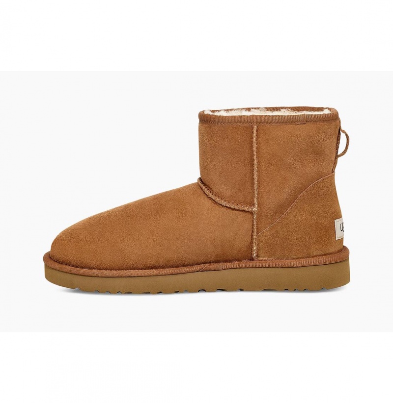 UGG Klasické Mini Čižmy Z Ovčej Kože Panske Hnede | SK-021LUFWSM