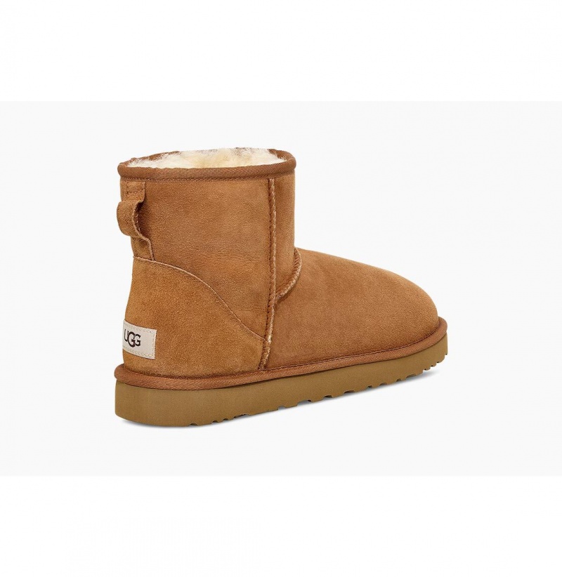 UGG Klasické Mini Čižmy Z Ovčej Kože Panske Hnede | SK-021LUFWSM