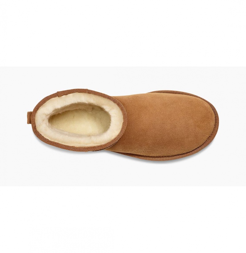 UGG Klasické Mini Čižmy Z Ovčej Kože Panske Hnede | SK-021LUFWSM