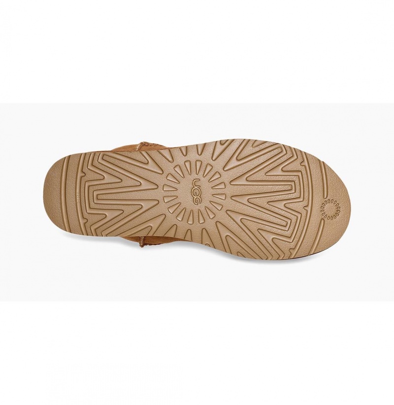 UGG Klasické Mini Čižmy Z Ovčej Kože Panske Hnede | SK-021LUFWSM